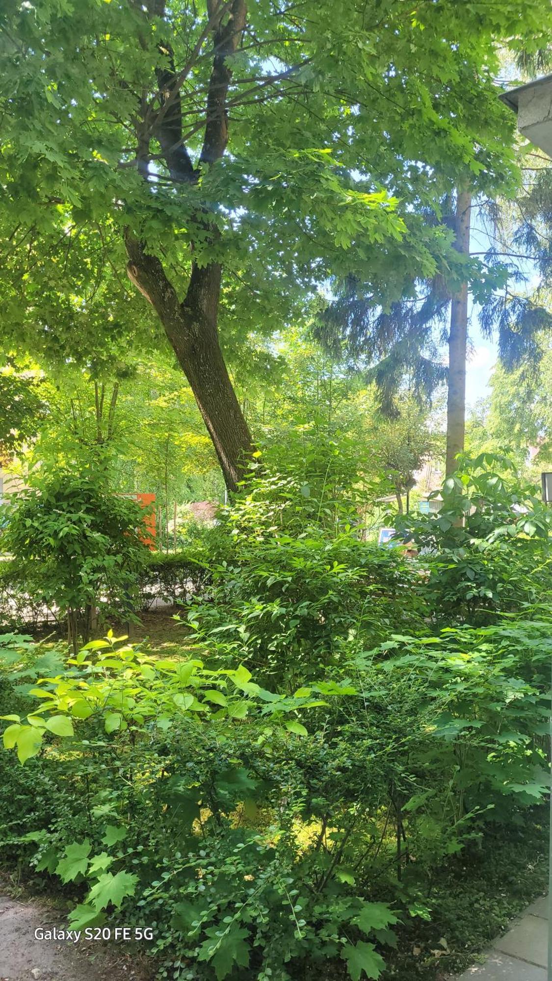 Apartament Przy Parku Naleczow Bagian luar foto