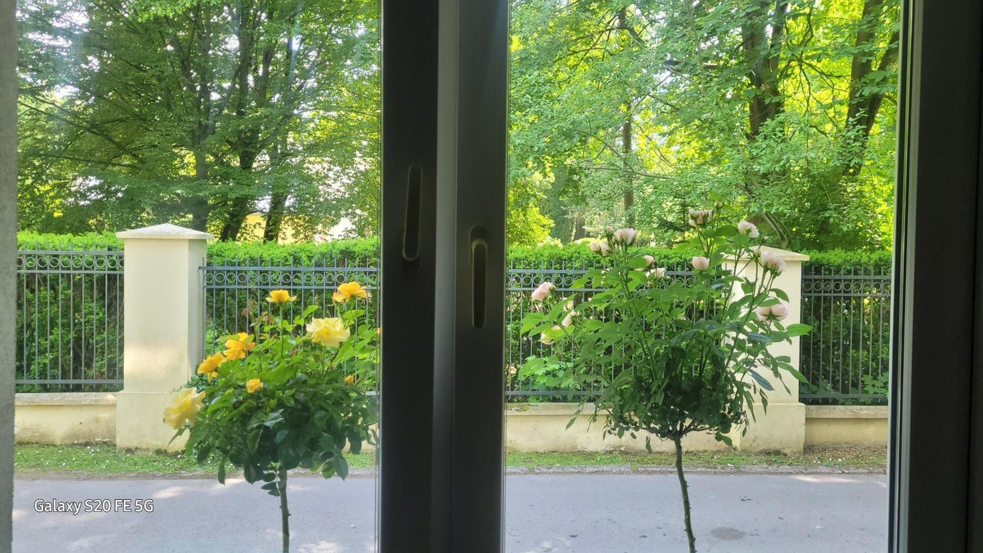 Apartament Przy Parku Naleczow Bagian luar foto