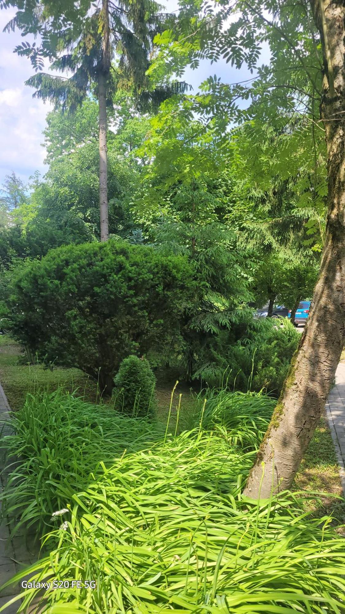 Apartament Przy Parku Naleczow Bagian luar foto